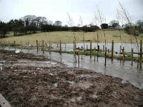 Fence in flood water