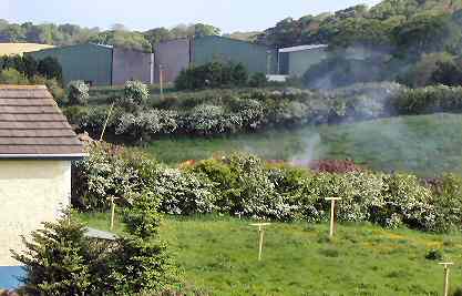 Photo taken 24th May 2004 (During nesting season)  